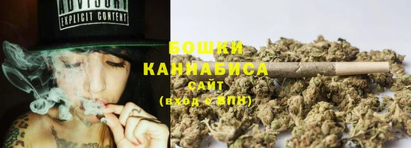 сатива Алексин