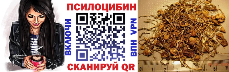 где найти наркотики сайты даркнета официальный сайт Галлюциногенные грибы Magic Shrooms Большой Камень